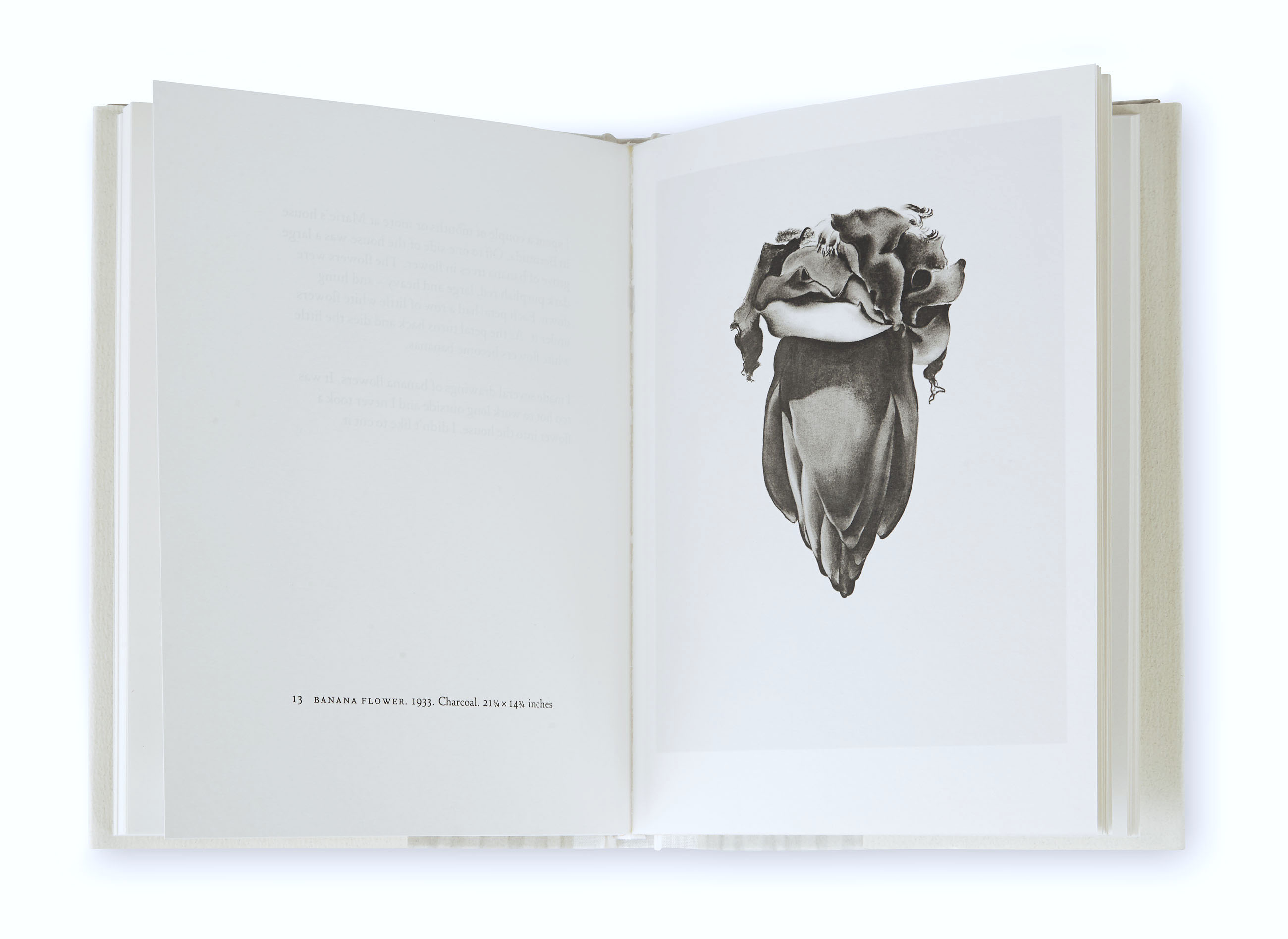 Reading. Painting with O’Keeffe plus 1.